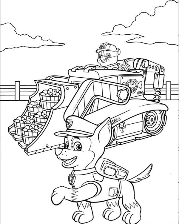 Paw-patrol21