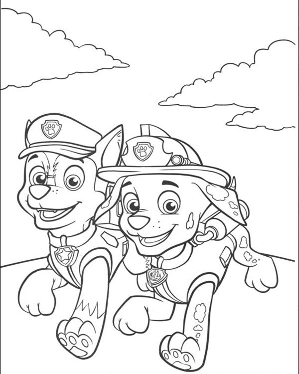 Paw-patrol25