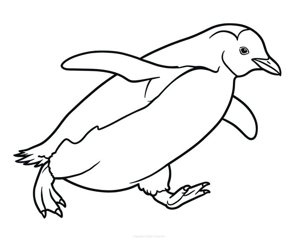 Pingviinien juoksu