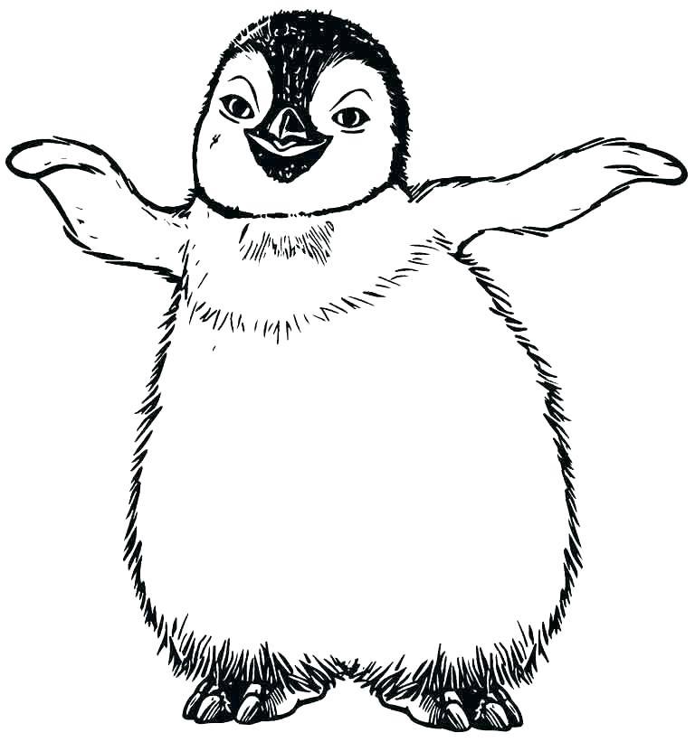 Pinguin