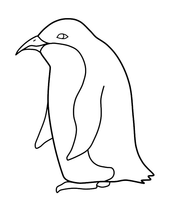 Pinguin