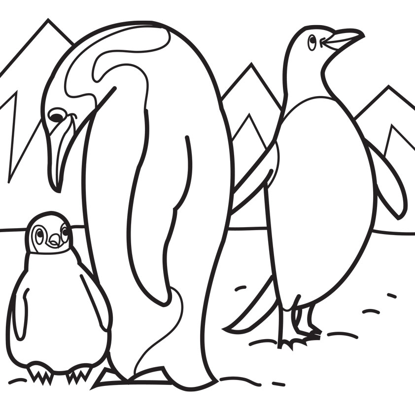 Pinguin
