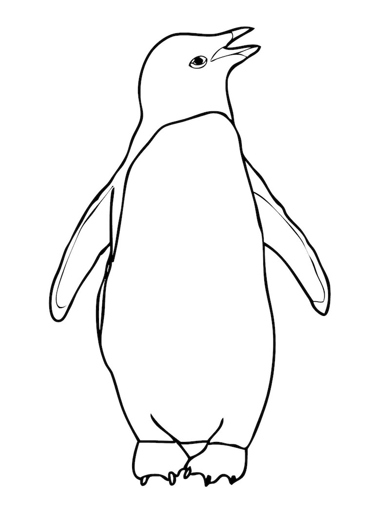 Pinguin