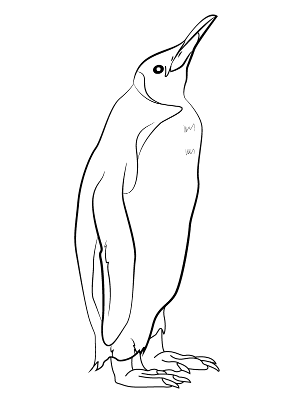 Pinguin