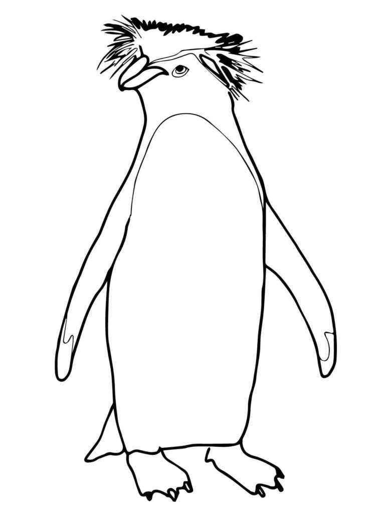 Pinguin