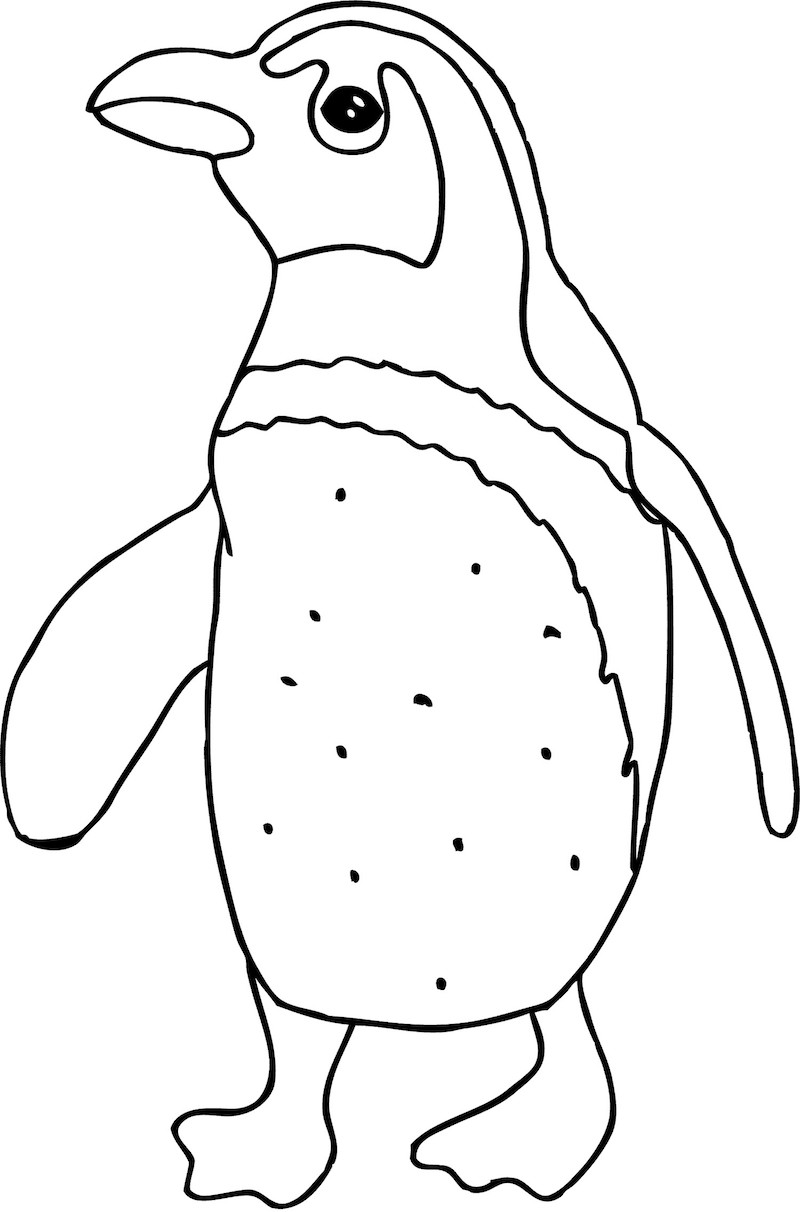 Pinguin