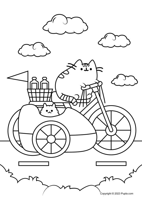 Pusheen And Stormy Riding A Bicycle