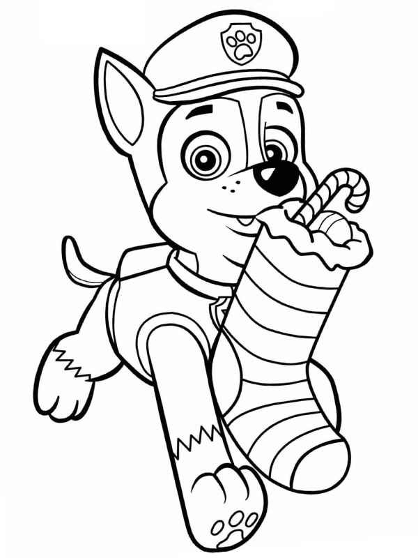 Rocky con la calza di Natale