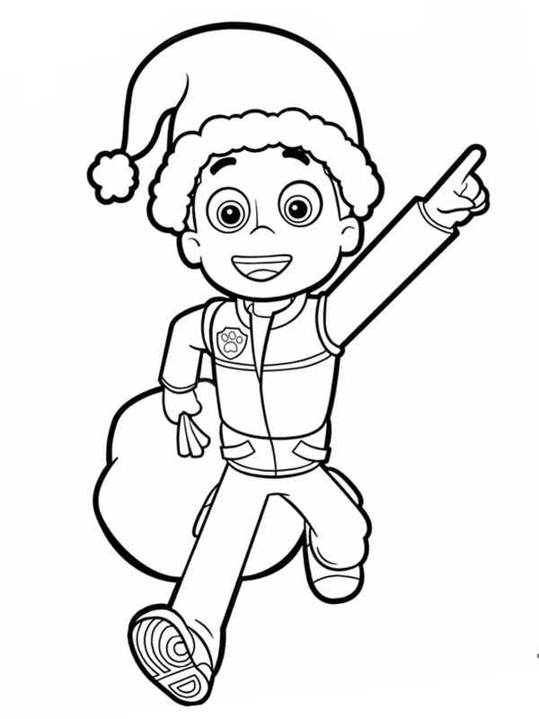 Ryder con il cappello da Babbo Natale