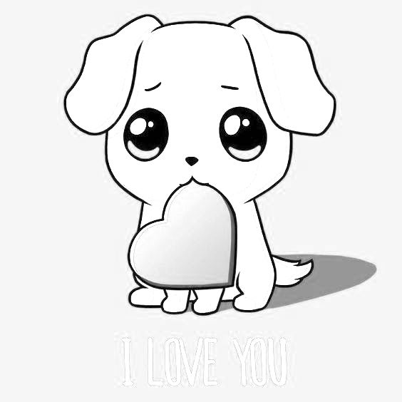 Suloinen pieni koira