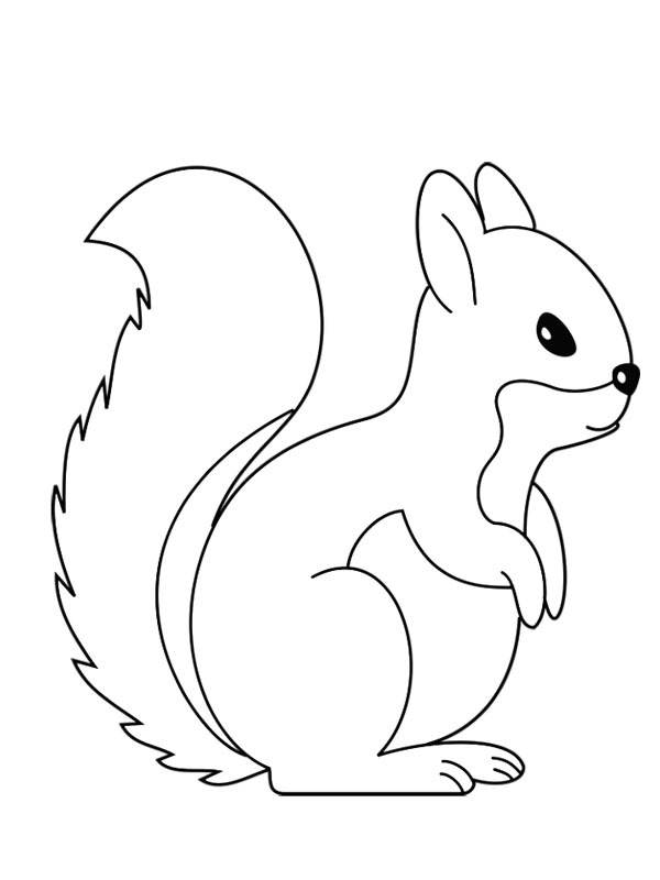 Süßes Eichhörnchen