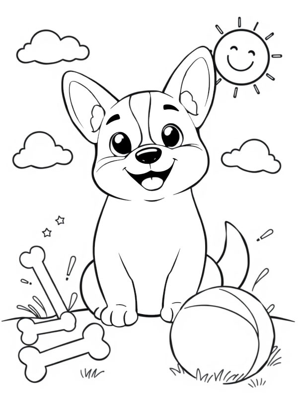 Söpö welsh corgi pentu