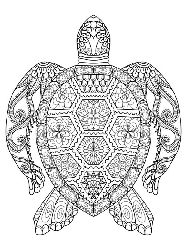 Turtle mandala tattoo