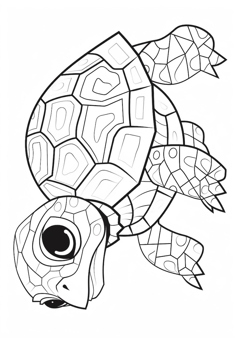 Turtle with boxes