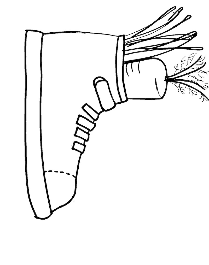 Sætte sko med gulerod og hø