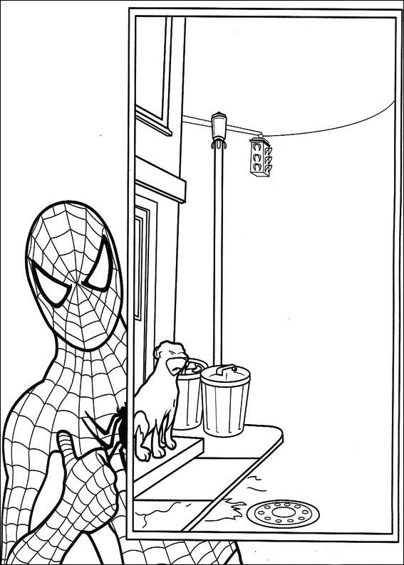 Spiderman