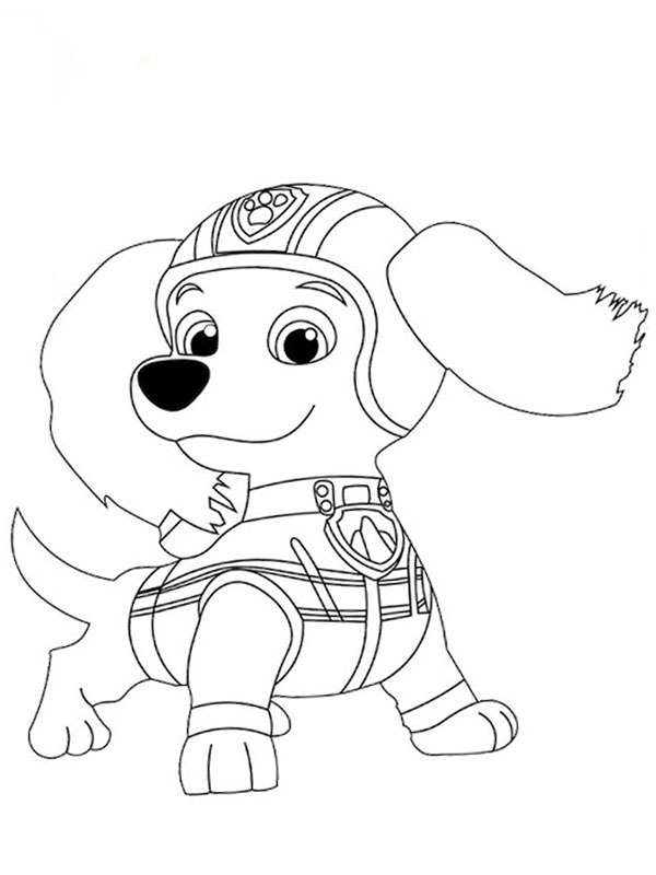 Teckel Liberty PAW Patrol