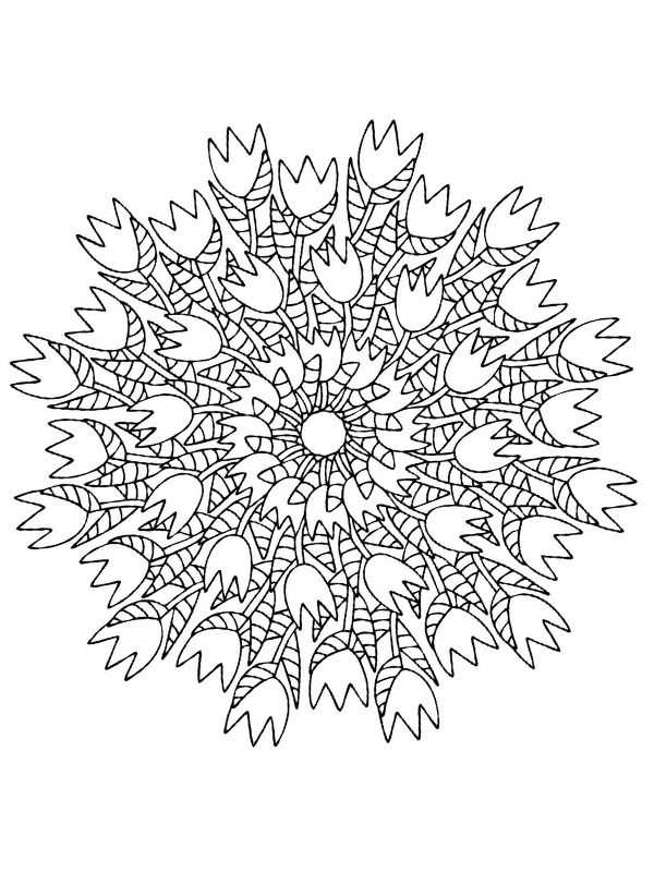 Tulpenmandala