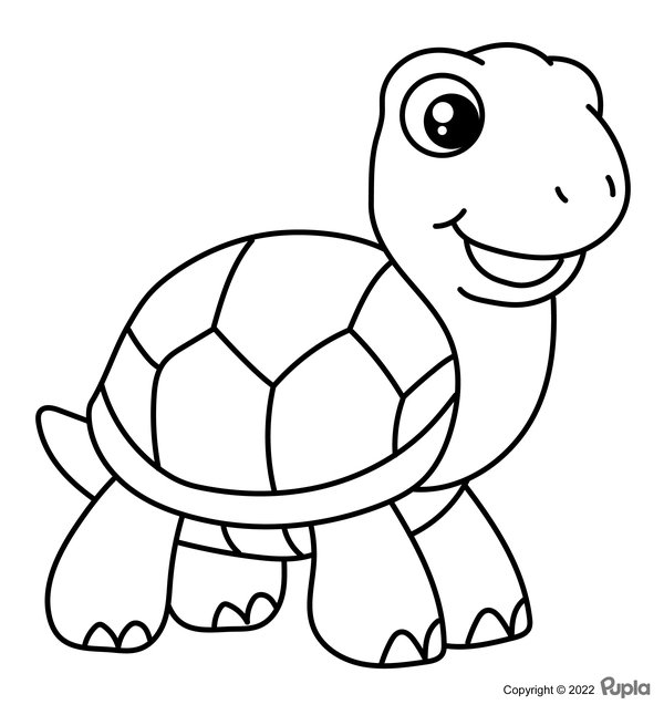 Turtle Easy Cute