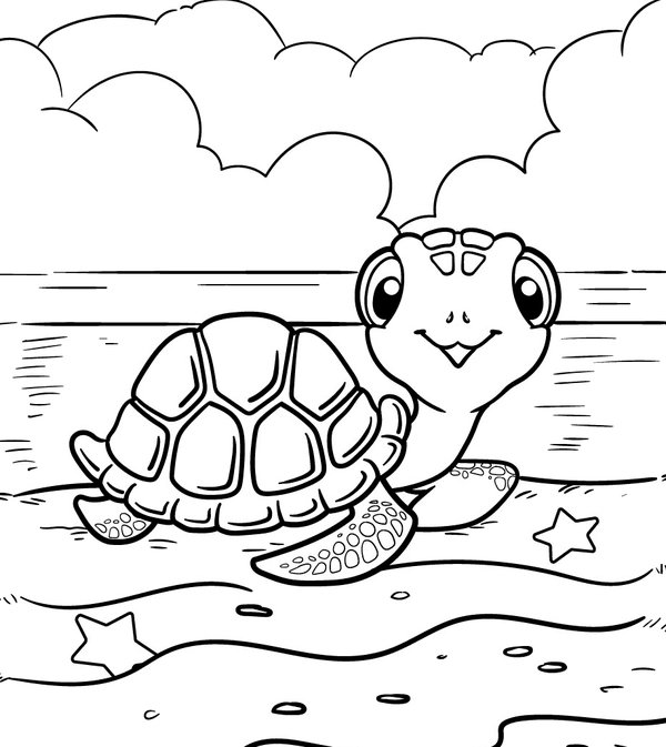 Turtle On Beach