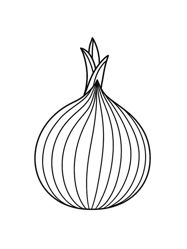 Onion