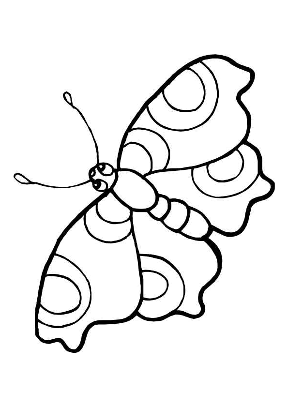 Schmetterling
