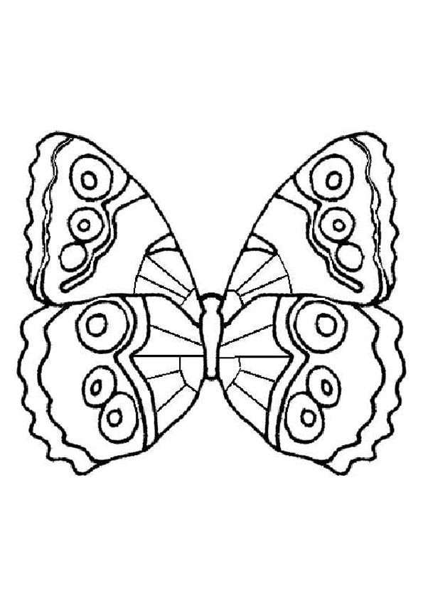 Schmetterling