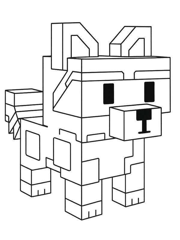 Vaskebjørn (dyrk en have)