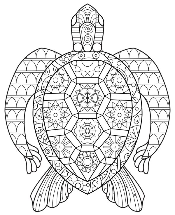 Zentangle Turtle Above